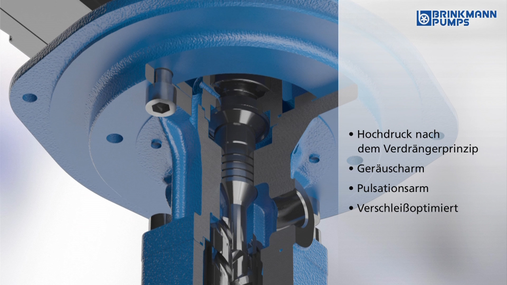 Brinkmann_SSP_Inhalt-03