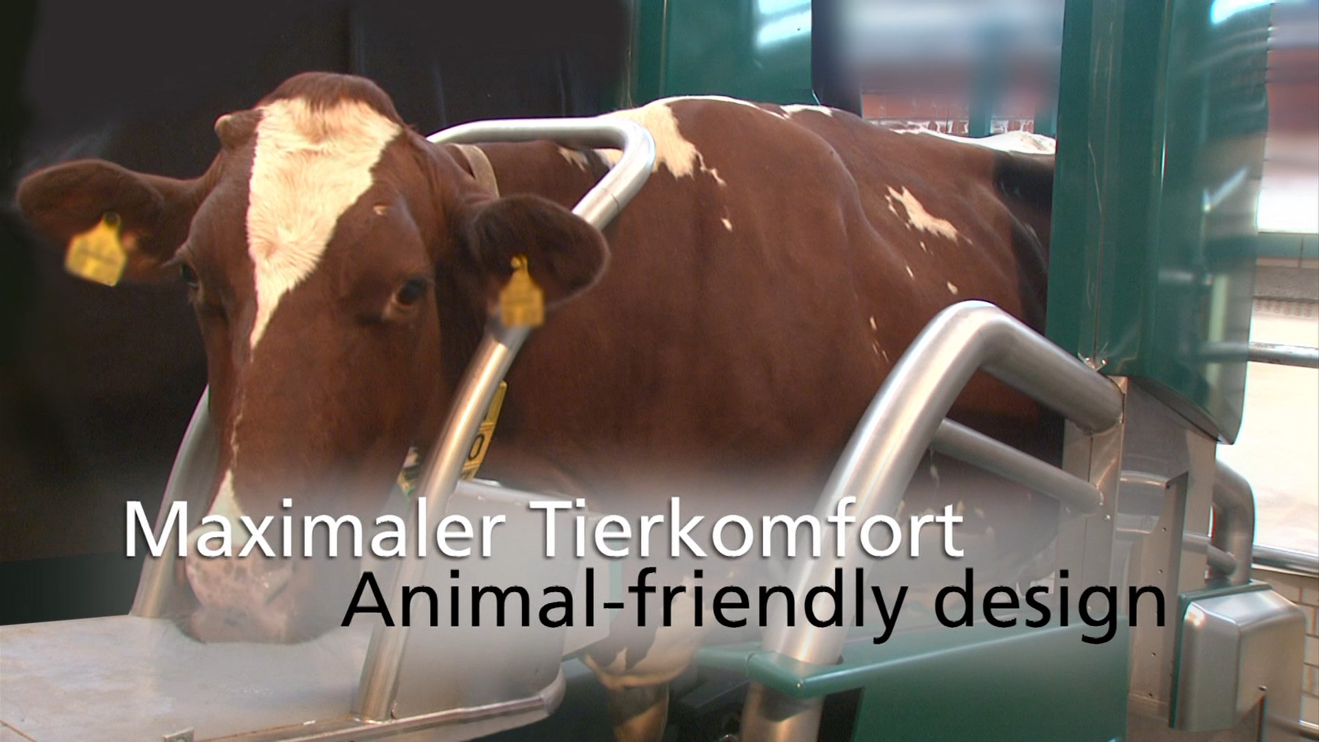 Messetrailer und 3D-Animation von furore Strategie + Werbung: Das Geheimnis automatischen Melkens mit GEA DairyProQ