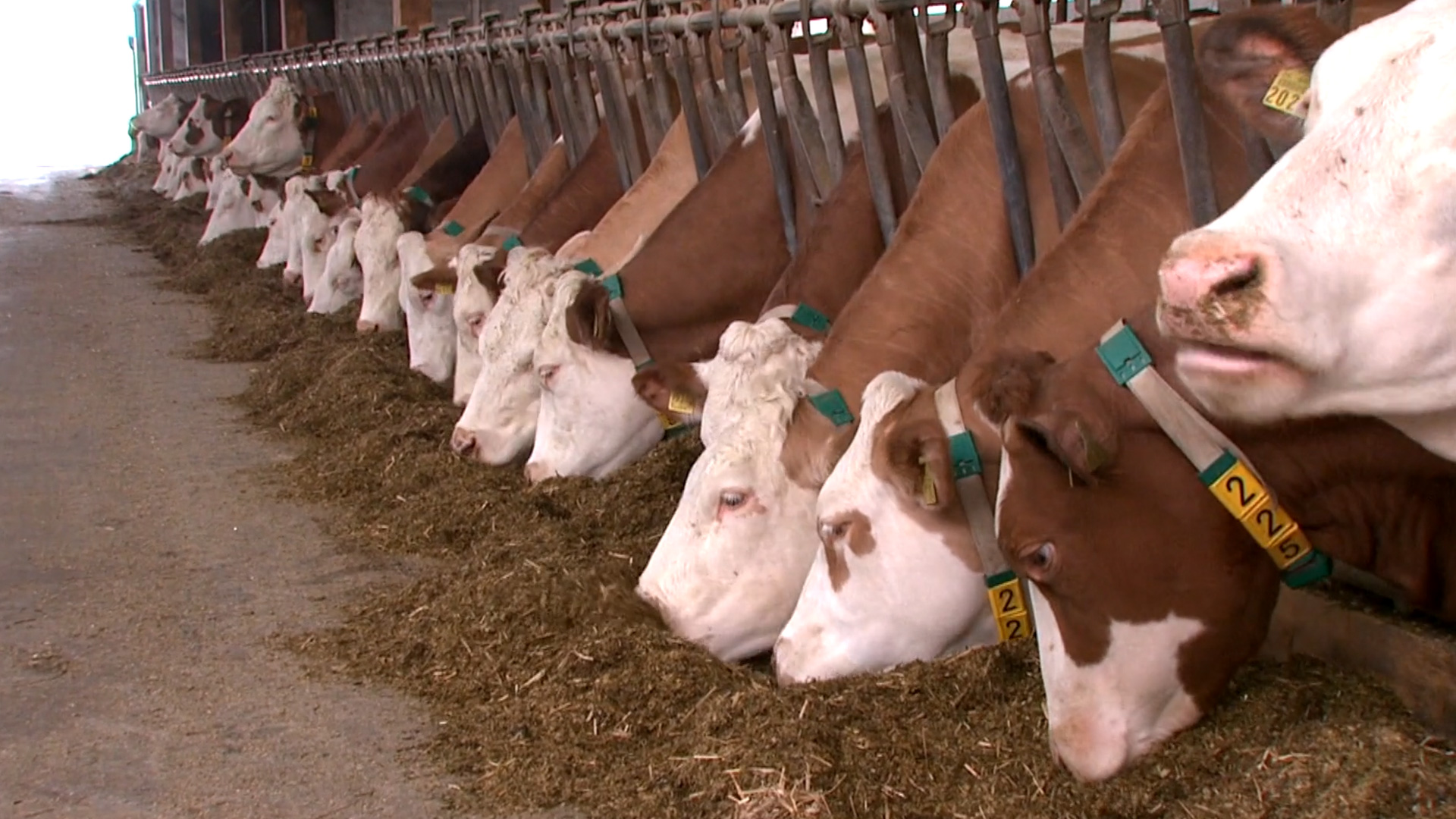 furore Projekt Testimonial GEA Stimmen aus der Praxis Die lebendige Reportage erzeugt Glaubwürdigkeit, die andere von der Sache überzeugt. Produziert von furore, perfekt für Verkauf, Messe, Website.