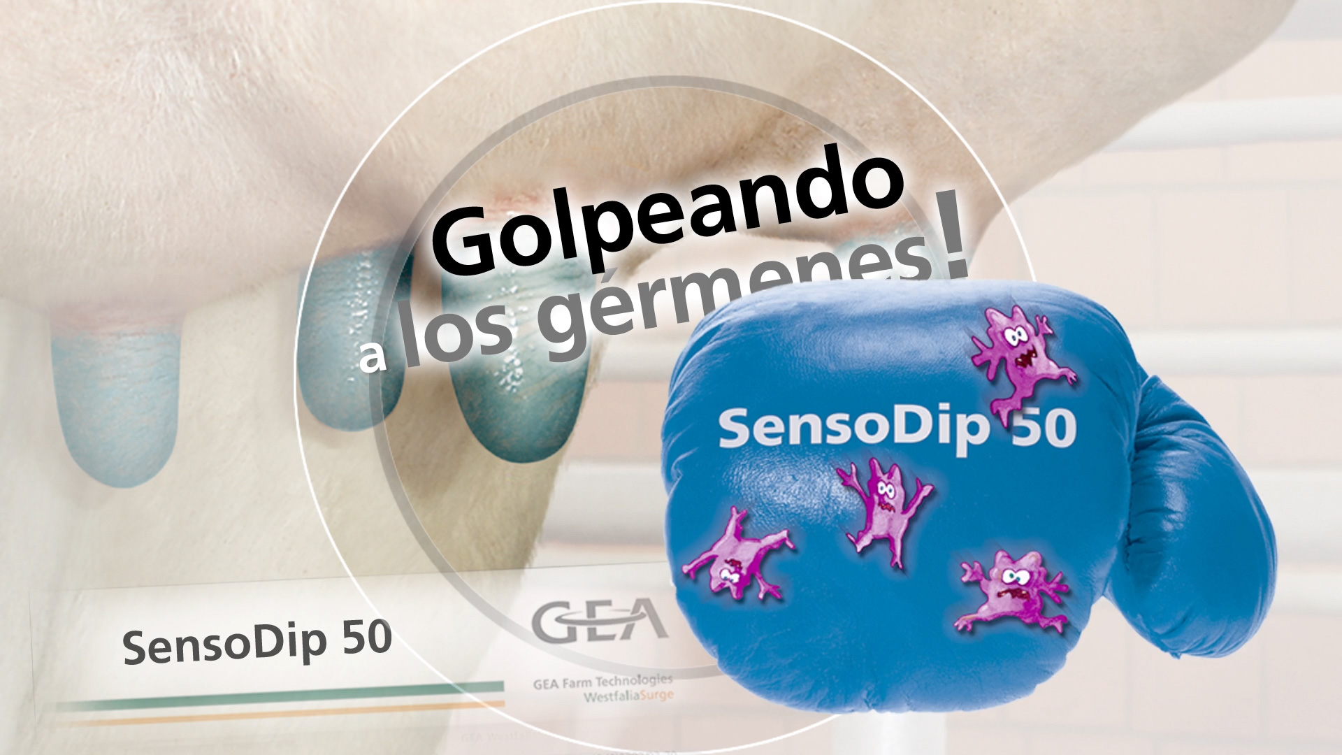 furore Projekt Produktfilm GEA LuxSpray Im Produktfilm GEA LuxSpray sind Illustration und Realbild kombiniert, produziert von furore Strategie + Werbung