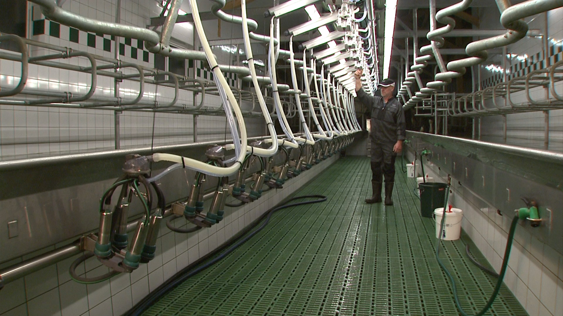 furore Projekt Produktfilm GEA PosiSwing SwingOver Melkstand Produktfilm GEA PosiSwing SwingOver - Der Doppeleffekt - realisiert von furore Strategie + Werbung