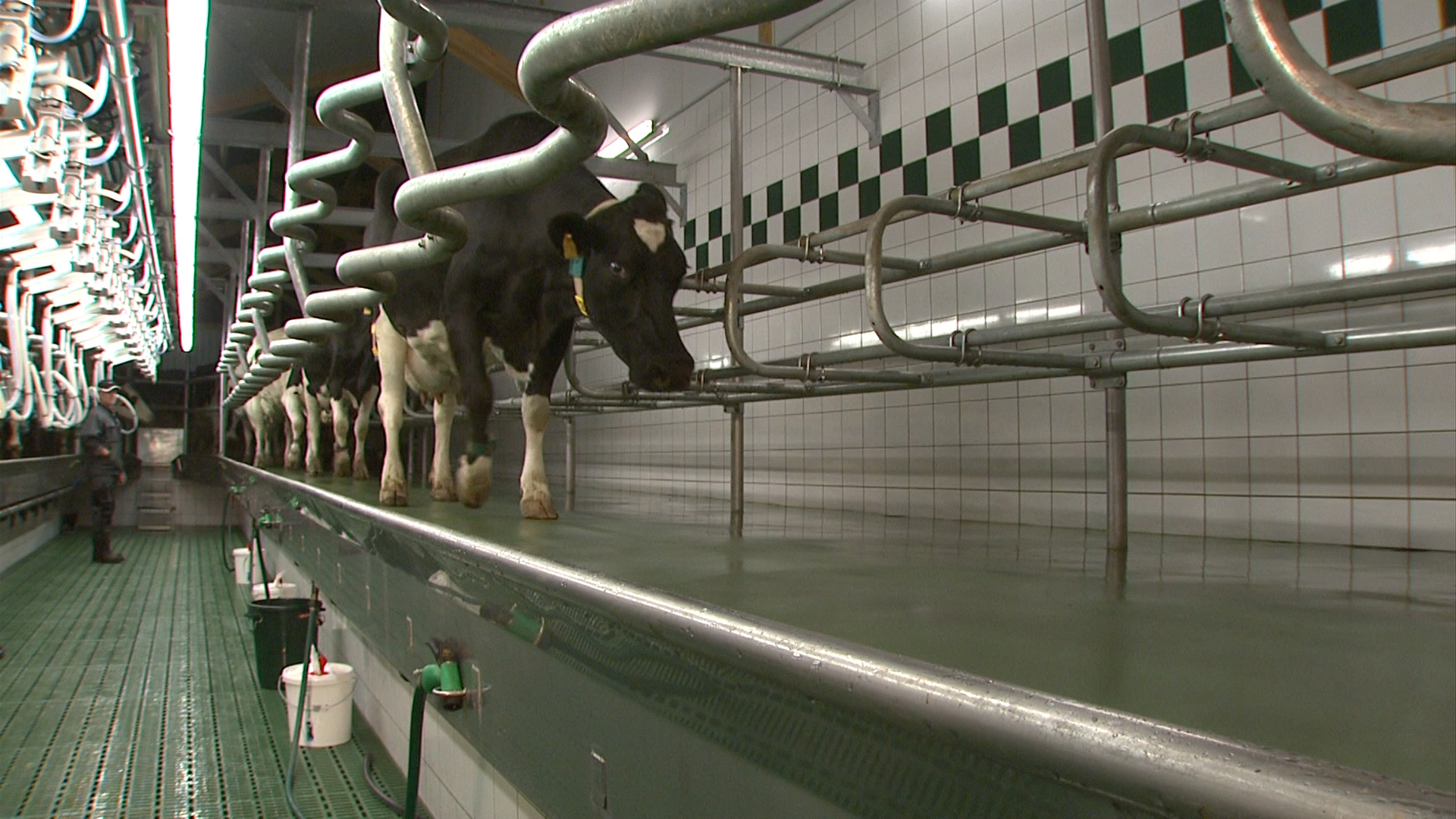 furore Projekt Produktfilm GEA PosiSwing SwingOver Melkstand Produktfilm GEA PosiSwing SwingOver - Der Doppeleffekt - realisiert von furore Strategie + Werbung