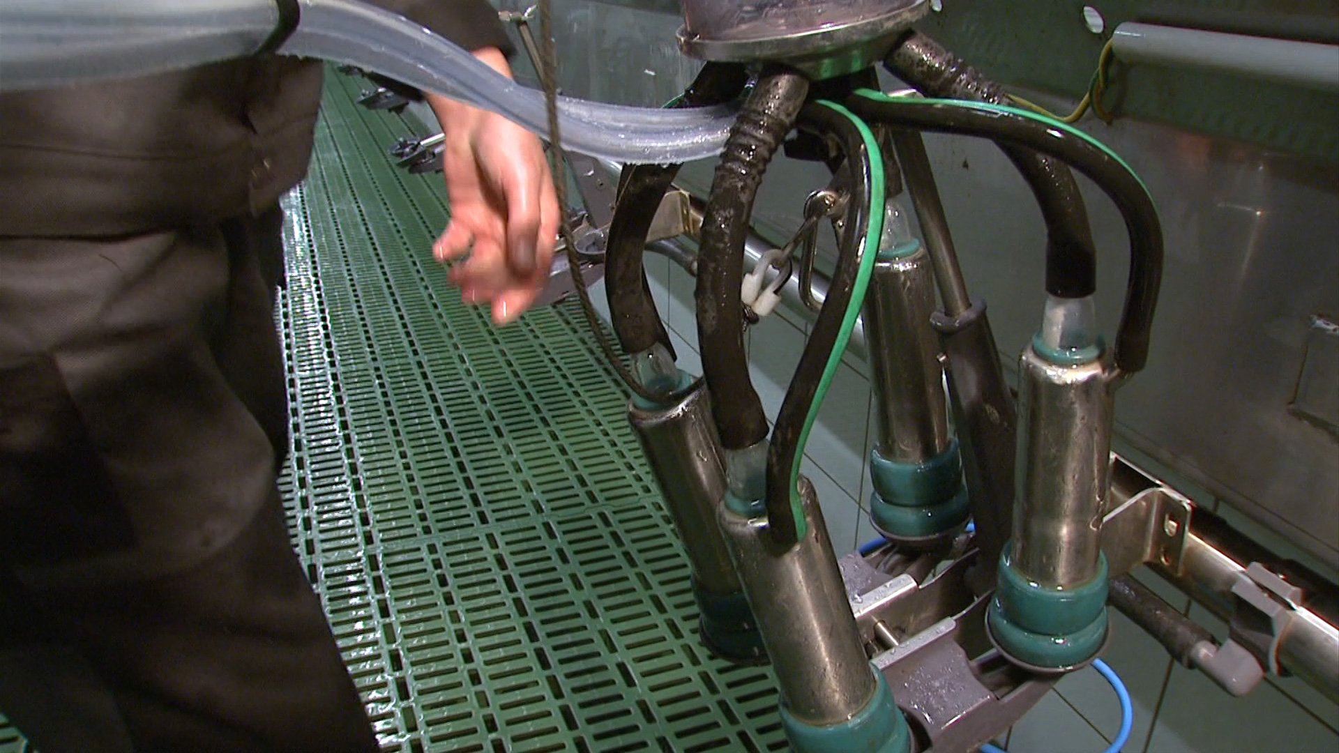 furore Projekt Produktfilm GEA PosiSwing SwingOver Melkstand Produktfilm GEA PosiSwing SwingOver - Der Doppeleffekt - realisiert von furore Strategie + Werbung