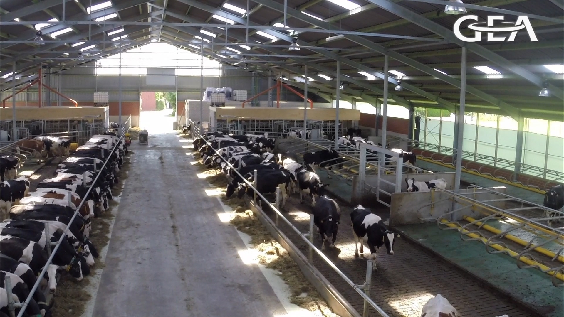 furore Projekt Testimonial, Praxisreport GEA Authentisches Testimonial für GEA Farm Technologies, produziert von furore Strategie + Werbung bei den Landwirten Fengels und Rohwer