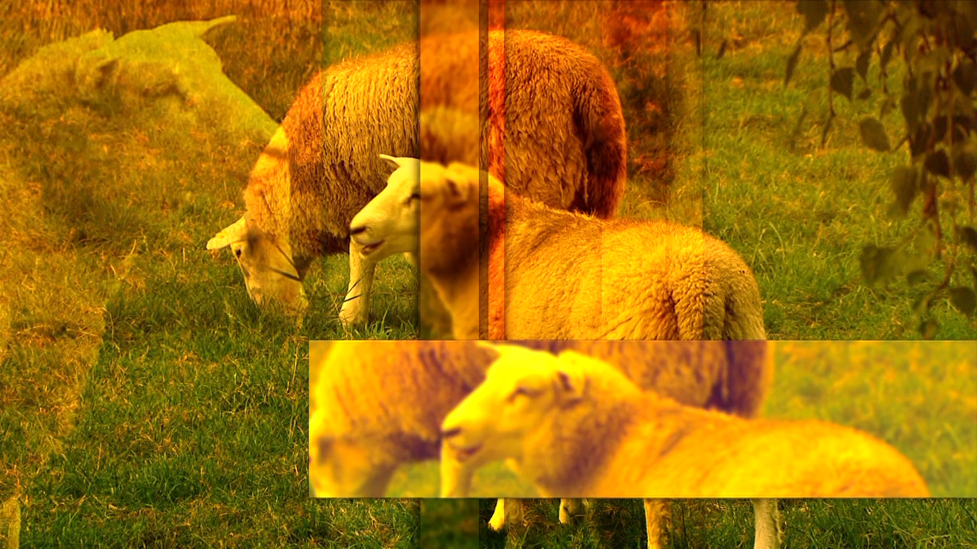 furore Projekt Messetrailer GEA Touch The Future Der GEA Messetrailer präsentiert GEA-Technologie, Tiere und Anwender als ein Team und ist von furore Strategie + Werbung produziert