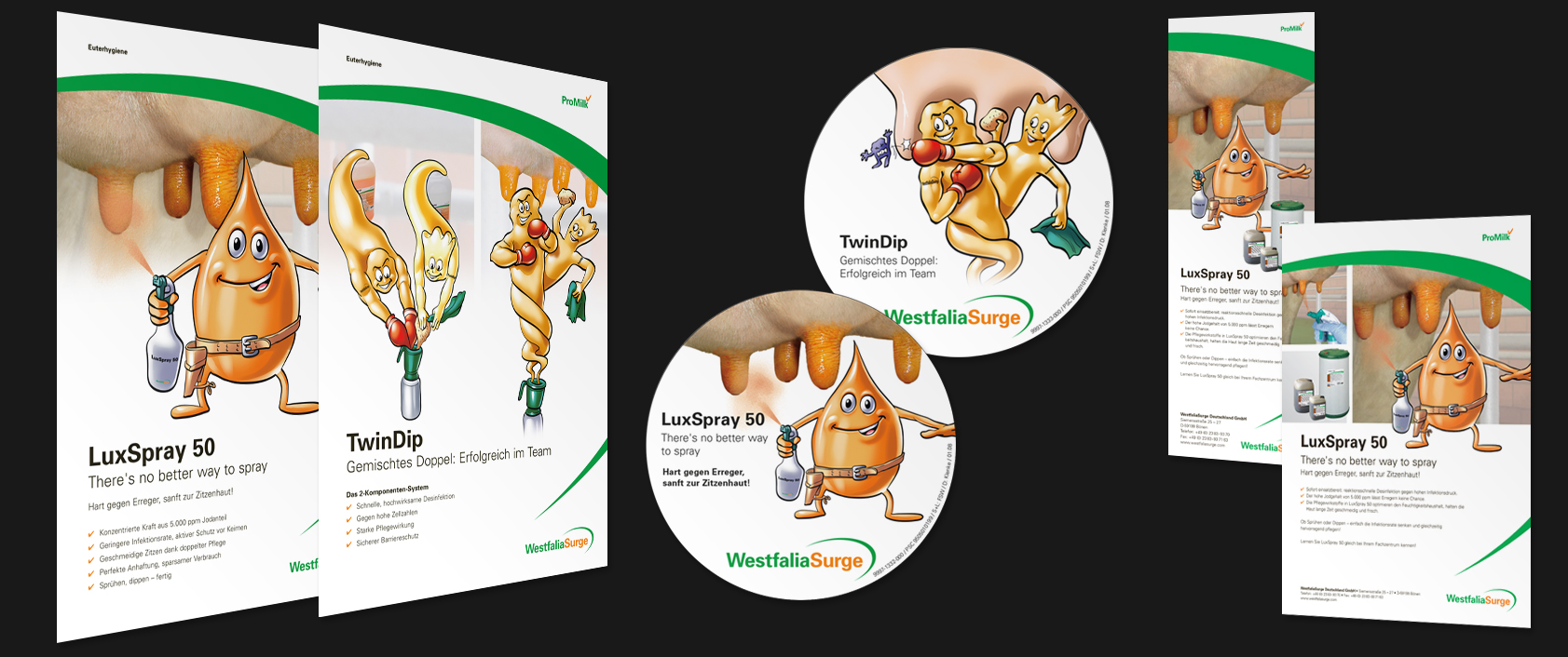 Links zwei zusammengefaltene Flyer und rechts ein ausgefalteter Flyer mit sichtbaren Knittfalten in Form eines Posters