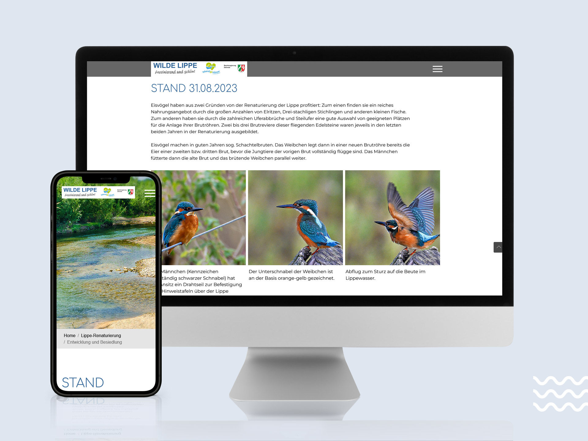 furore Projekt Wilde Lippe Webseite in Typo3 furore Webagentur und Werbeagentur, professionelle Website für Landschaftsplanung Wilde Lippe