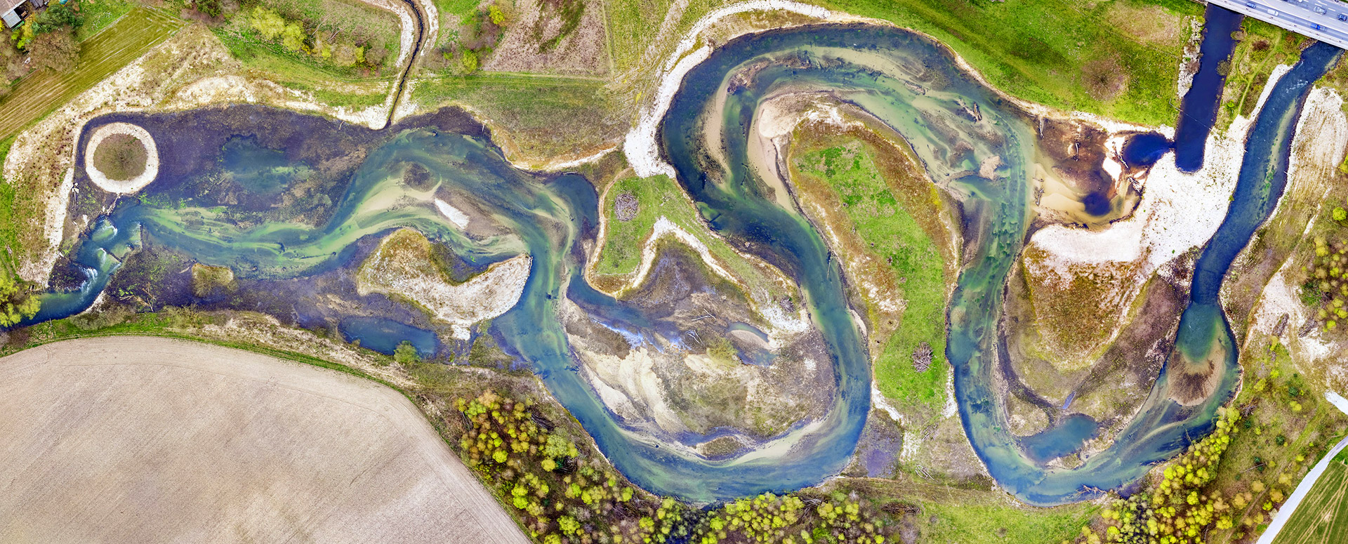 furore Projekt Wilde Lippe Webseite in Typo3 furore Webagentur und Werbeagentur, professionelle Website für Landschaftsplanung Wilde Lippe