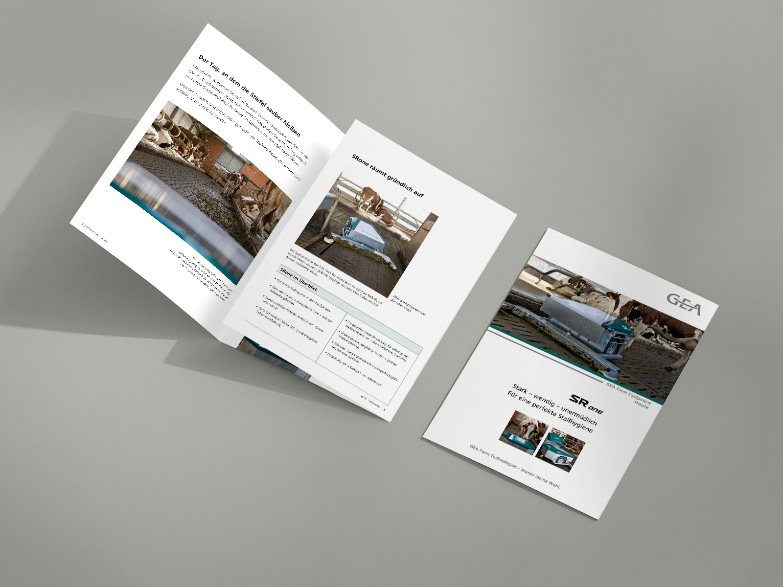 Links zwei zusammengefaltene Flyer und rechts ein ausgefalteter Flyer mit sichtbaren Knittfalten in Form eines Posters