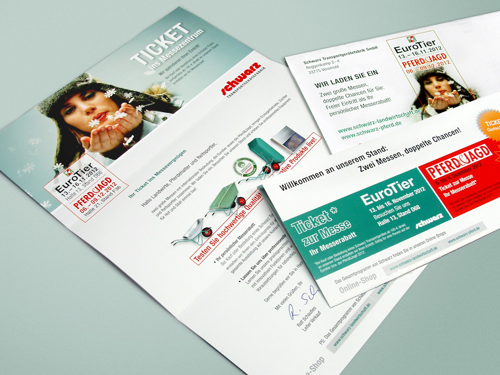 Zwei Tablets mit Webseite Luftreiniger, Hintergrund zeigt umbrechende Meereswelle