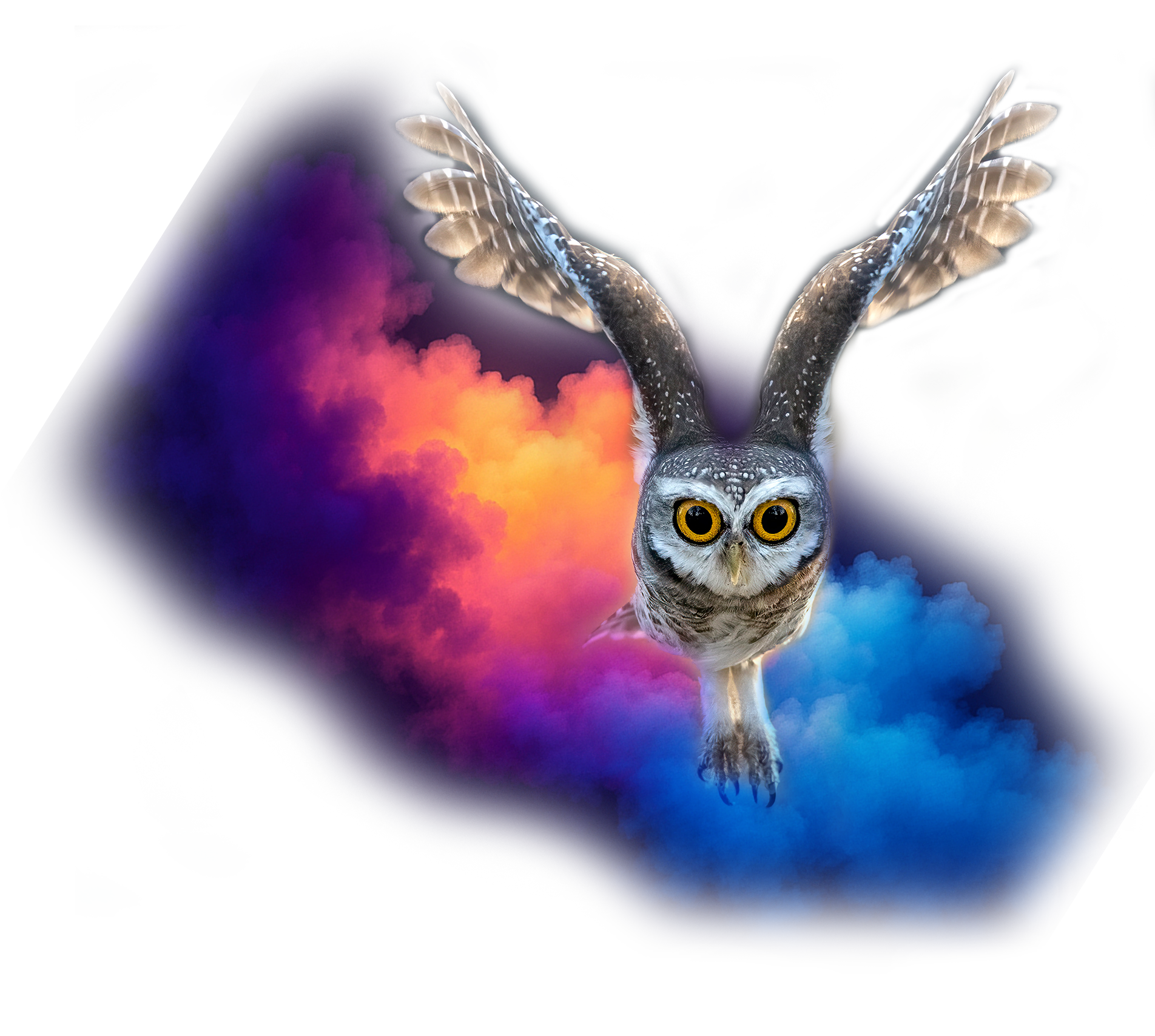 Simprop Modellbau - Redesign Webseite in WordPress furore Webagentur und Werbeagentur, professionelle Website für Simprop Modellbau, Modellsport, Modellflug