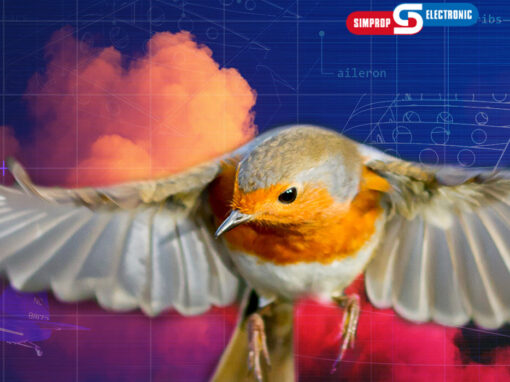 Simprop Modellbau<br> Webdesign in WordPress